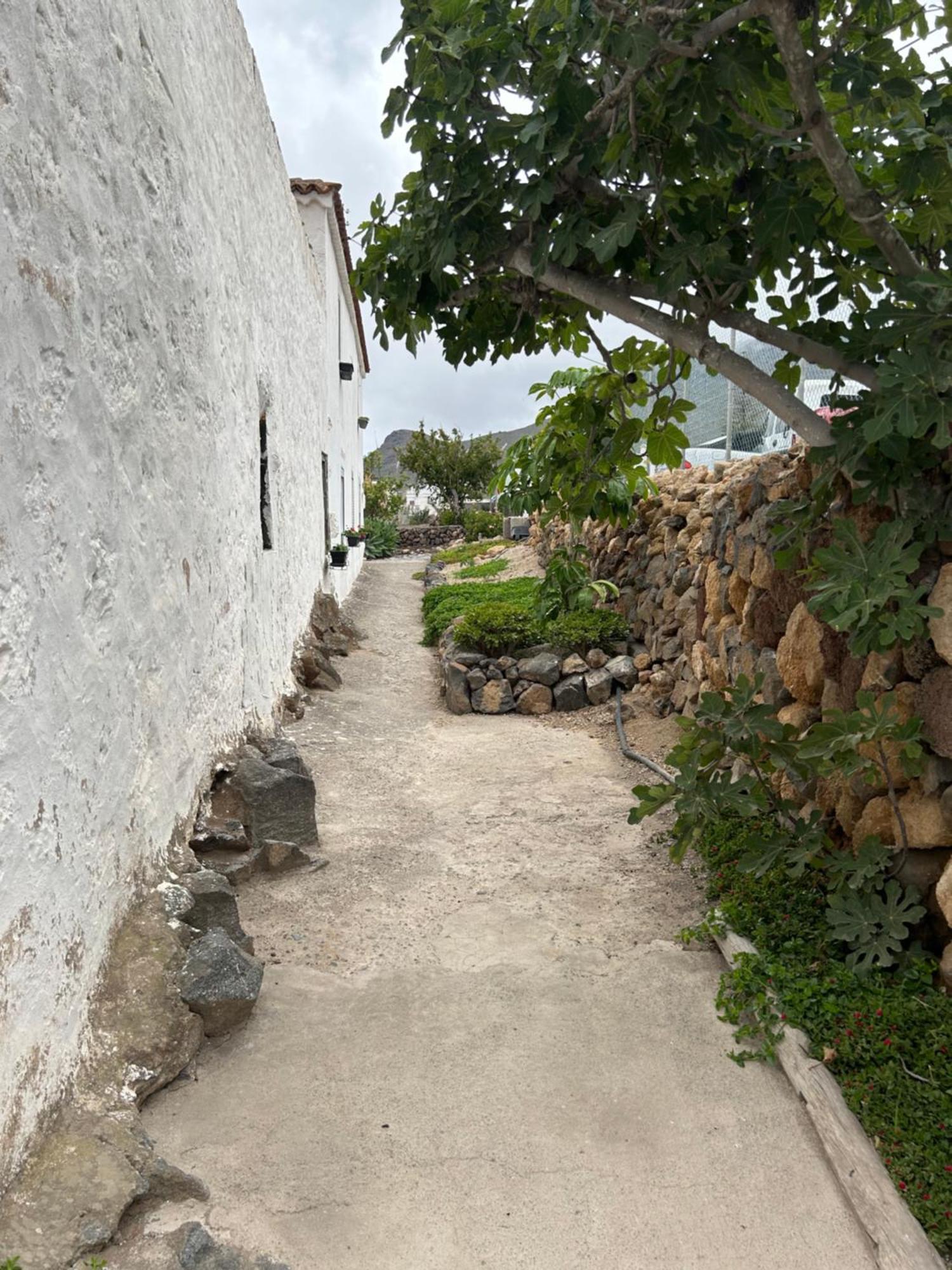 Apartament El Pasil 2 Arona (Tenerife)